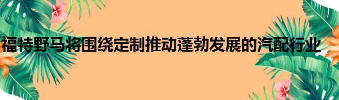 福特野马将围绕定制推动蓬勃发展的汽配行业