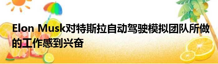 Elon Musk对特斯拉自动驾驶模拟团队所做的工作感到兴奋