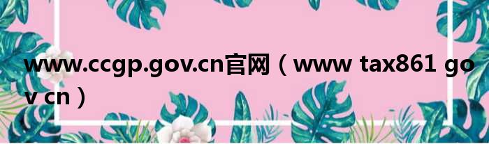 www.ccgp.gov.cn官网（www tax861 gov cn）