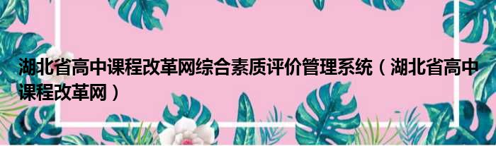 湖北省高中课程改革网综合素质评价管理系统（湖北省高中课程改革网）