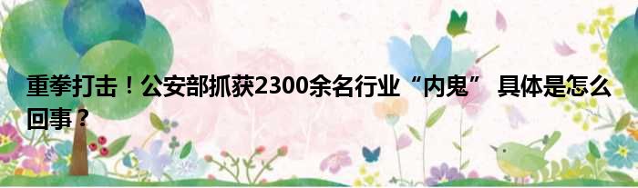 重拳打击！公安部抓获2300余名行业“内鬼” 具体是怎么回事？