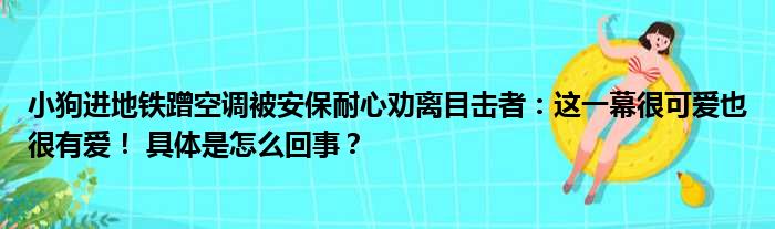 小狗进地铁蹭空调被安保耐心劝离目击者：这一幕很可爱也很有爱！ 具体是怎么回事？