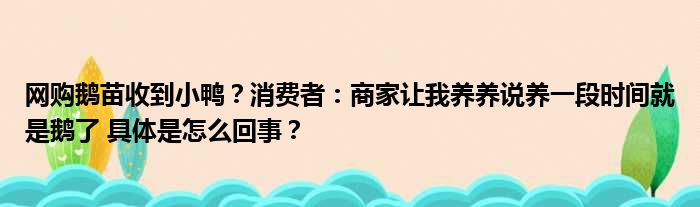 网购鹅苗收到小鸭？消费者：商家让我养养说养一段时间就是鹅了 具体是怎么回事？