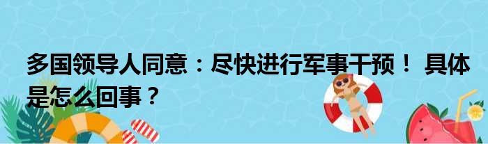 多国领导人同意：尽快进行军事干预！ 具体是怎么回事？