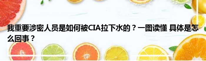 我重要涉密人员是如何被CIA拉下水的？一图读懂 具体是怎么回事？