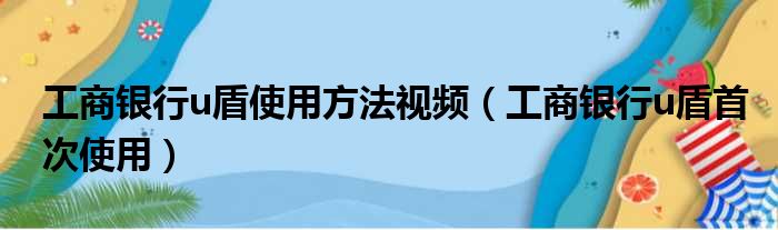 工商银行u盾使用方法视频（工商银行u盾首次使用）