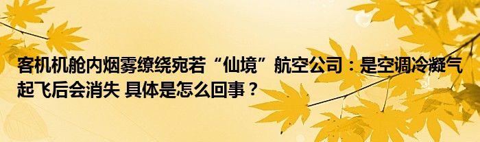 客机机舱内烟雾缭绕宛若“仙境”航空公司：是空调冷凝气起飞后会消失 具体是怎么回事？