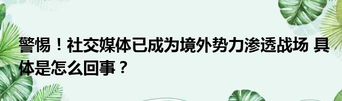 警惕！社交媒体已成为境外势力渗透战场 具体是怎么回事？