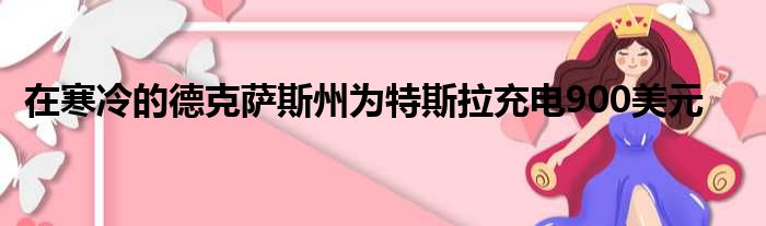 在寒冷的德克萨斯州为特斯拉充电900美元