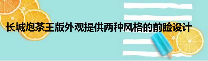 长城炮茶王版外观提供两种风格的前脸设计