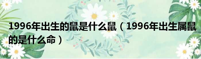 1996年出生的鼠是什么鼠（1996年出生属鼠的是什么命）