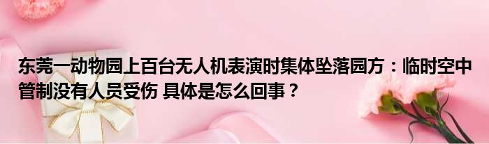 东莞一动物园上百台无人机表演时集体坠落园方：临时空中管制没有人员受伤 具体是怎么回事？