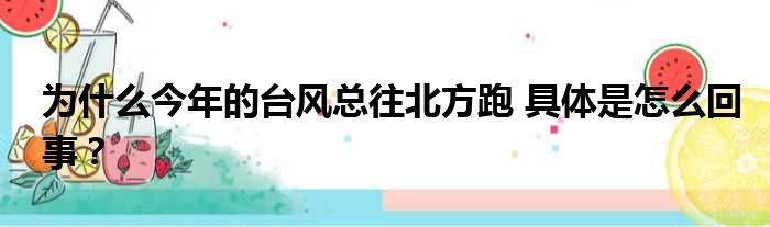 为什么今年的台风总往北方跑 具体是怎么回事？