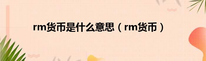 rm货币是什么意思（rm货币）