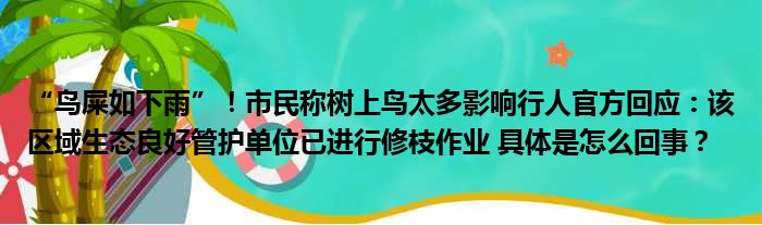 “鸟屎如下雨”！市民称树上鸟太多影响行人官方回应：该区域生态良好管护单位已进行修枝作业 具体是怎么回事？