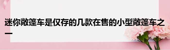 迷你敞篷车是仅存的几款在售的小型敞篷车之一