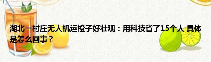 湖北一村庄无人机运橙子好壮观：用科技省了15个人 具体是怎么回事？