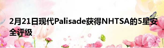 2月21日现代Palisade获得NHTSA的5星安全评级