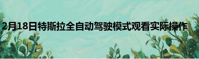 2月18日特斯拉全自动驾驶模式观看实际操作