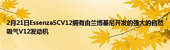 2月21日EssenzaSCV12拥有由兰博基尼开发的强大的自然吸气V12发动机