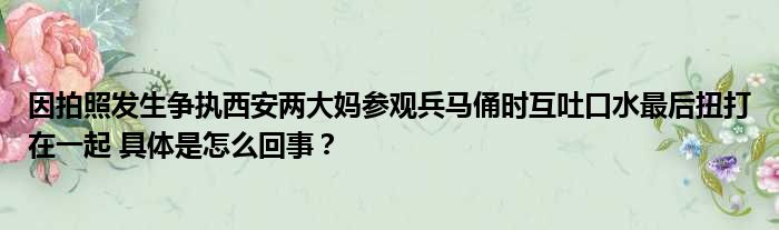 因拍照发生争执西安两大妈参观兵马俑时互吐口水最后扭打在一起 具体是怎么回事？