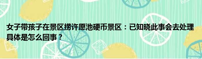 女子带孩子在景区捞许愿池硬币景区：已知晓此事会去处理 具体是怎么回事？