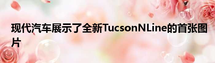 现代汽车展示了全新TucsonNLine的首张图片