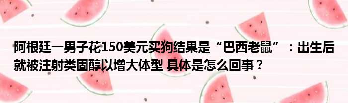 阿根廷一男子花150美元买狗结果是“巴西老鼠”：出生后就被注射类固醇以增大体型 具体是怎么回事？