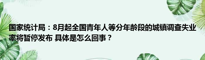 国家统计局：8月起全国青年人等分年龄段的城镇调查失业率将暂停发布 具体是怎么回事？