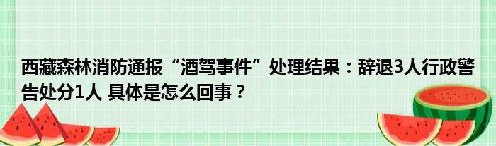 西藏森林消防通报“酒驾事件”处理结果：辞退3人行政警告处分1人 具体是怎么回事？