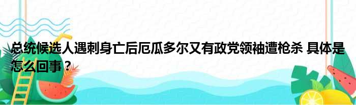 总统候选人遇刺身亡后厄瓜多尔又有政党领袖遭枪杀 具体是怎么回事？