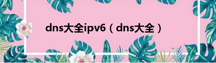 dns大全ipv6（dns大全）