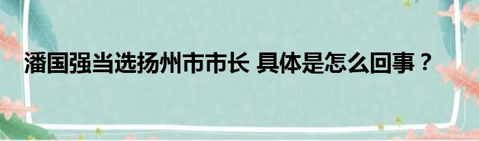 潘国强当选扬州市市长 具体是怎么回事？