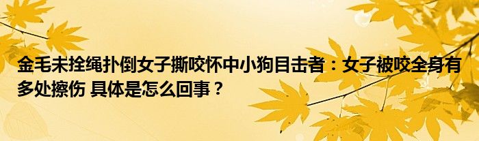 金毛未拴绳扑倒女子撕咬怀中小狗目击者：女子被咬全身有多处擦伤 具体是怎么回事？