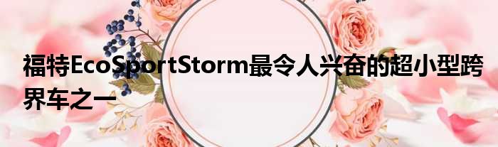 福特EcoSportStorm最令人兴奋的超小型跨界车之一