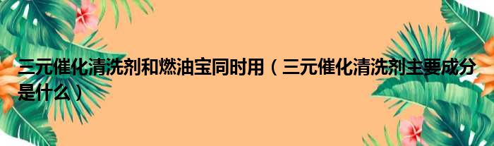 三元催化清洗剂和燃油宝同时用（三元催化清洗剂主要成分是什么）