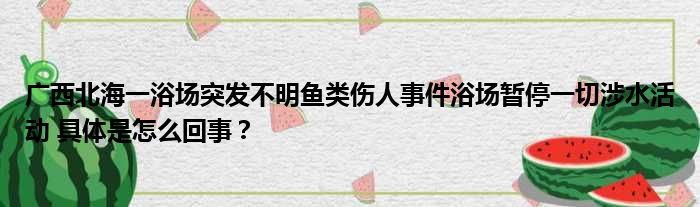 广西北海一浴场突发不明鱼类伤人事件浴场暂停一切涉水活动 具体是怎么回事？