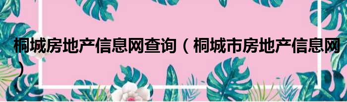 桐城房地产信息网查询（桐城市房地产信息网）