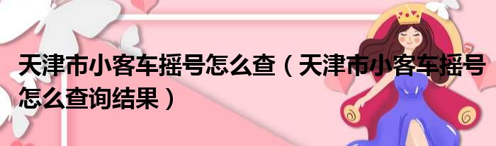 天津市小客车摇号怎么查（天津市小客车摇号怎么查询结果）