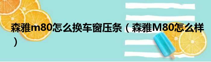 森雅m80怎么换车窗压条（森雅M80怎么样）