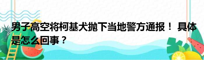 男子高空将柯基犬抛下当地警方通报！ 具体是怎么回事？