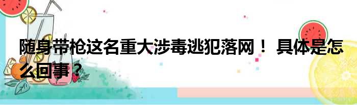 随身带枪这名重大涉毒逃犯落网！ 具体是怎么回事？