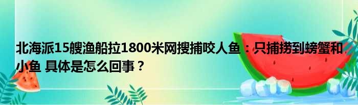 北海派15艘渔船拉1800米网搜捕咬人鱼：只捕捞到螃蟹和小鱼 具体是怎么回事？