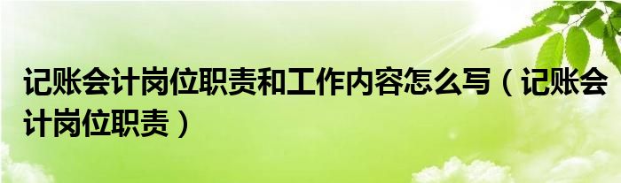 记账会计岗位职责和工作内容怎么写（记账会计岗位职责）