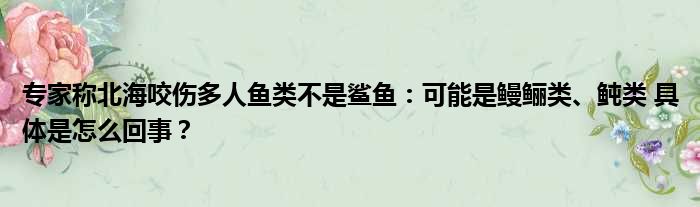 专家称北海咬伤多人鱼类不是鲨鱼：可能是鳗鲡类、鲀类 具体是怎么回事？