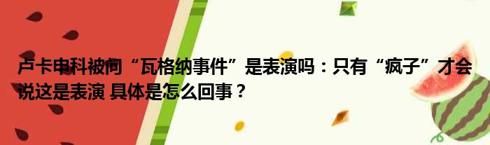 卢卡申科被问“瓦格纳事件”是表演吗：只有“疯子”才会说这是表演 具体是怎么回事？