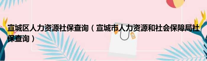 宣城区人力资源社保查询（宣城市人力资源和社会保障局社保查询）