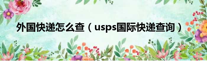 外国快递怎么查（usps国际快递查询）