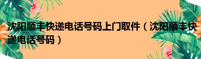 沈阳顺丰快递电话号码上门取件（沈阳顺丰快递电话号码）