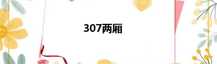 307两厢